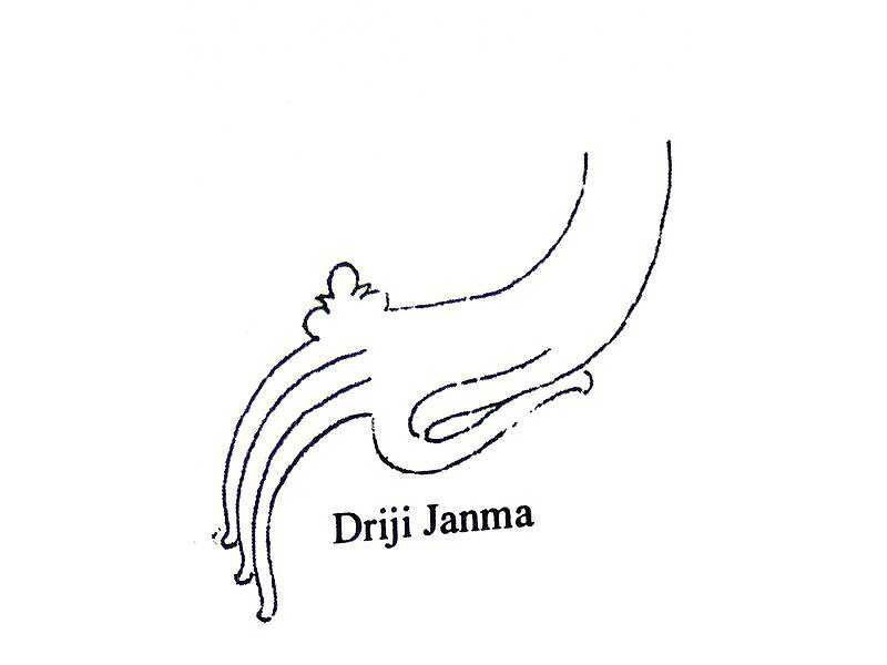 hands-driji janma-human hand-sunarto 118